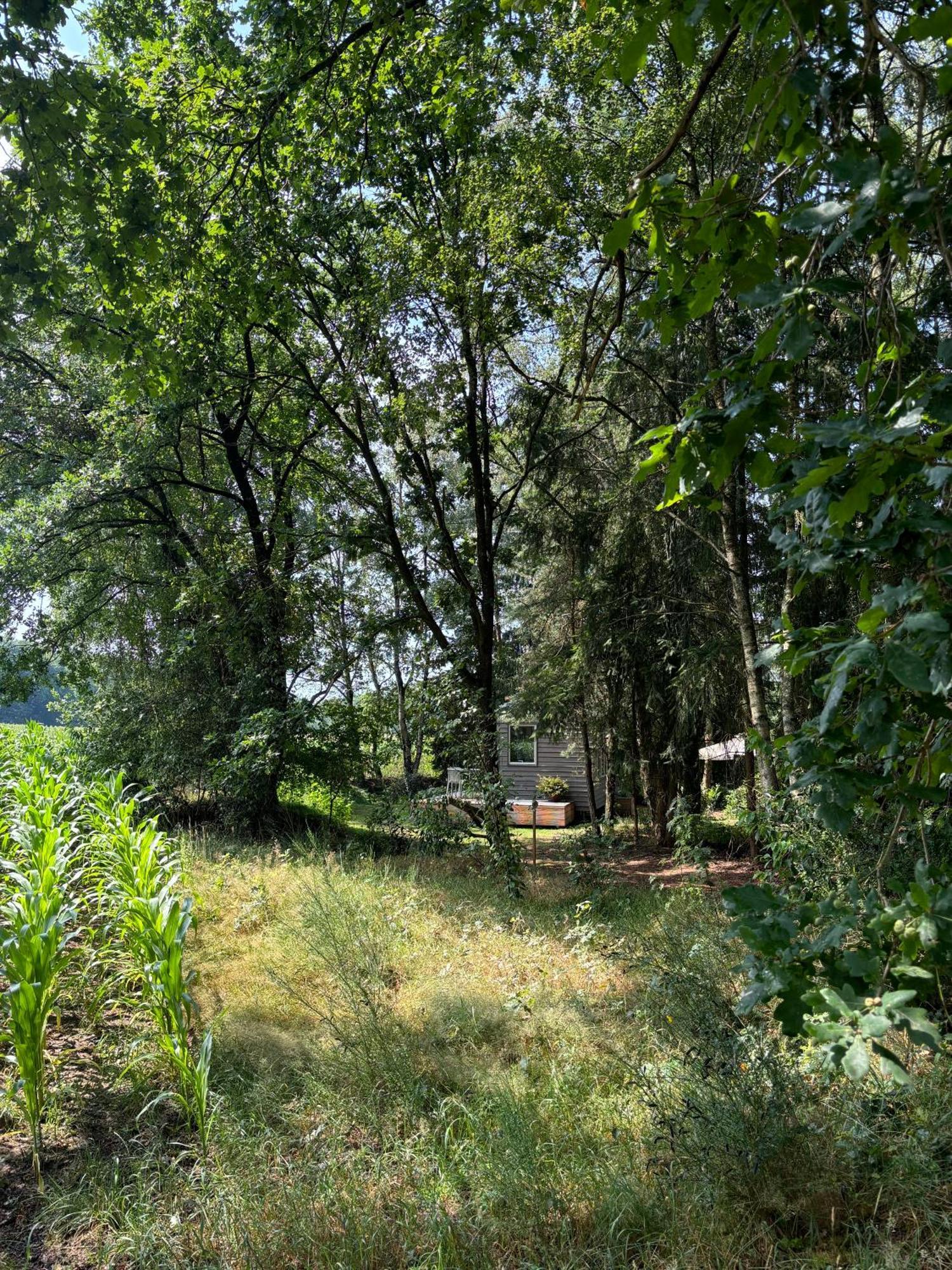 Tiny House Mit Garten In Der Lueneburger Heide Soltau Kültér fotó